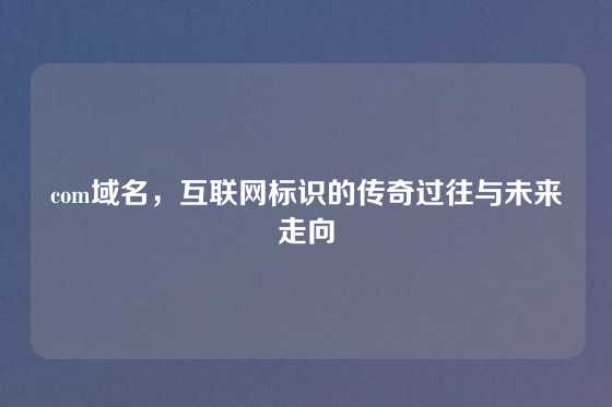 com域名,互联网标识的传奇过往与未来走向