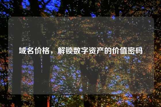 域名价格,解锁数字资产的价值密码