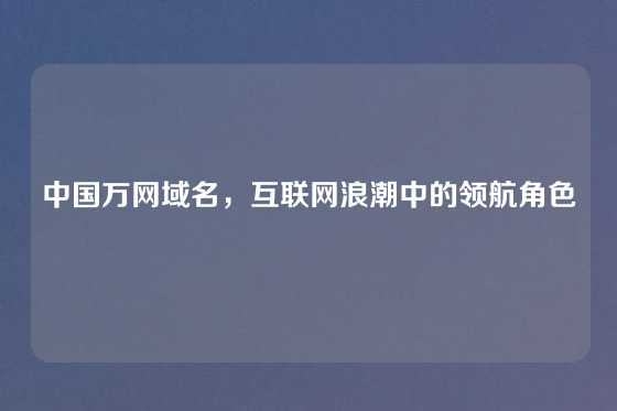 中国万网域名,互联网浪潮中的领航角色