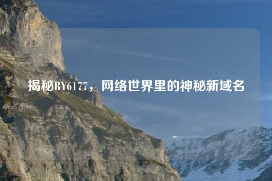 揭秘BY6177,网络世界里的神秘新域名