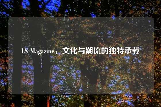 LS Magazine，文化与潮流的独特承载