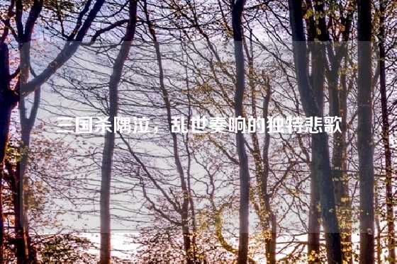 三国杀隅泣，乱世奏响的独特悲歌
