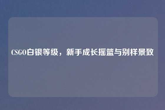 CSGO白银等级,新手成长摇篮与别样景致