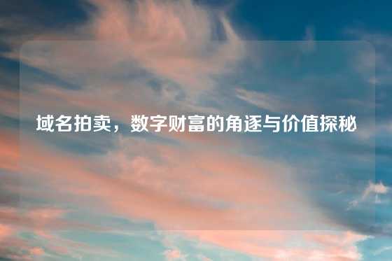 域名拍卖,数字财富的角逐与价值探秘