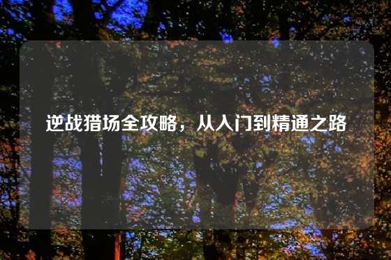 逆战猎场全攻略,从入门到精通之路