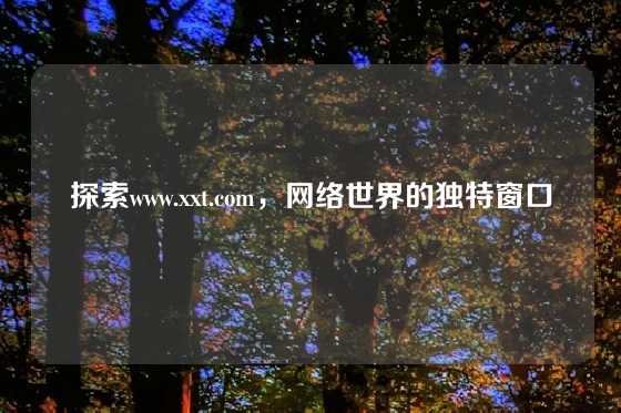 探索www.xxt.com,网络世界的独特窗口