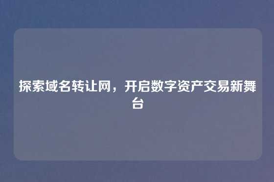探索域名转让网,开启数字资产交易新舞台