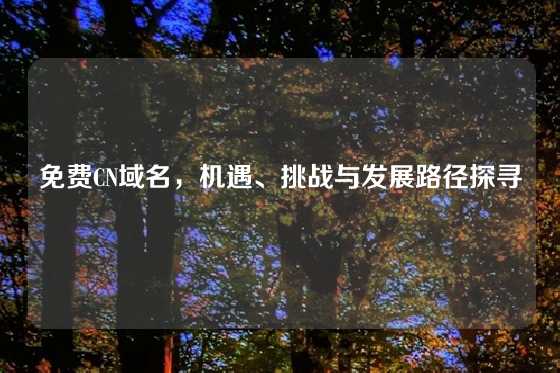 免费CN域名,机遇、挑战与发展路径探寻