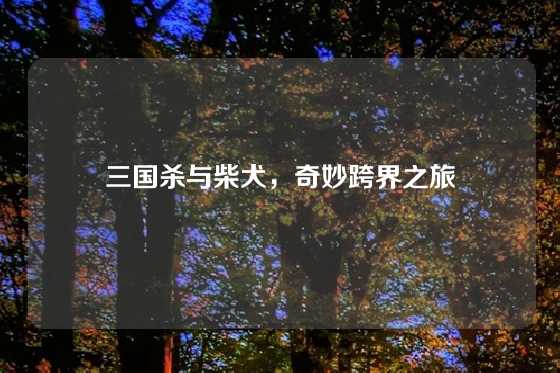 三国杀与柴犬,奇妙跨界之旅