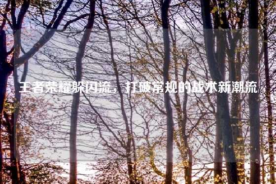 王者荣耀躲闪流,打破常规的战术新潮流