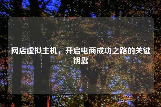 网店虚拟主机,开启电商成功之路的关键钥匙