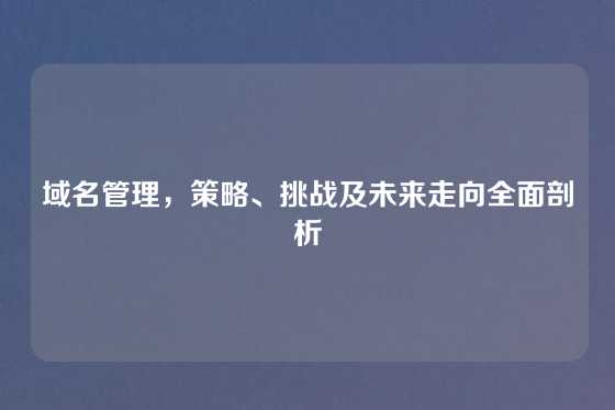 域名管理,策略、挑战及未来走向全面剖析