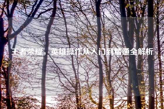 王者荣耀,英雄操作从入门到精通全解析