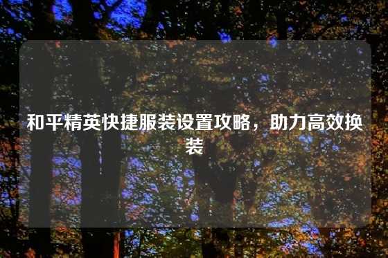 和平精英快捷服装设置攻略,助力高效换装