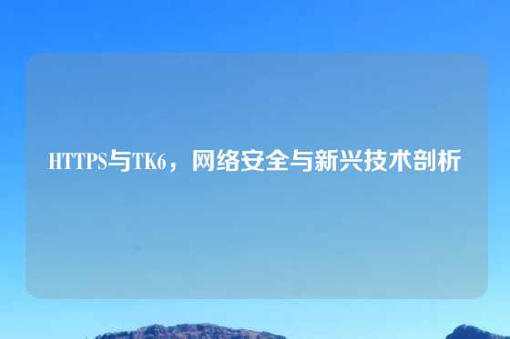 HTTPS与TK6,网络安全与新兴技术剖析