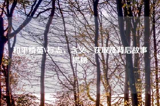 和平精英V标志,含义、获取及背后故事揭秘