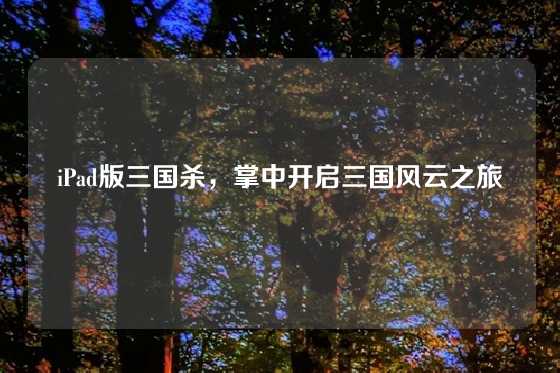 iPad版三国杀，掌中开启三国风云之旅