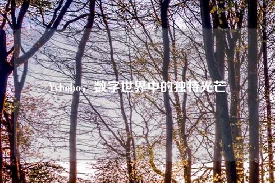 Yybobo,数字世界中的独特光芒