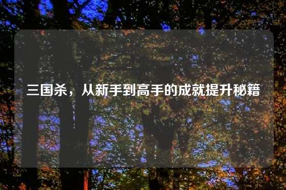 三国杀，从新手到高手的成就提升秘籍