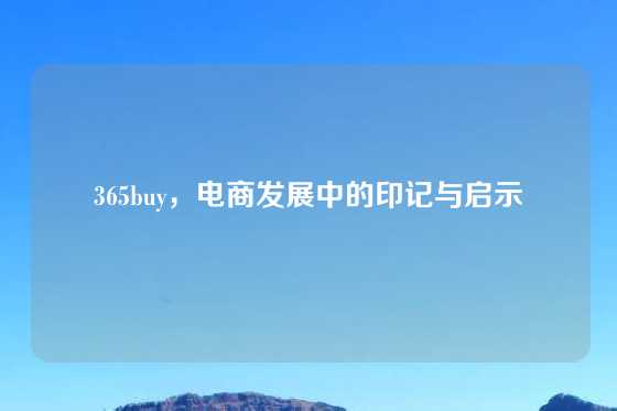 365buy，电商发展中的印记与启示