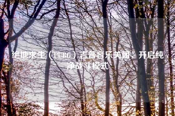 绝地求生(PUBG)吉普音乐关闭,开启纯净战斗模式