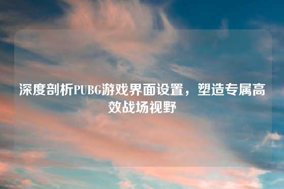 深度剖析PUBG游戏界面设置,塑造专属高效战场视野