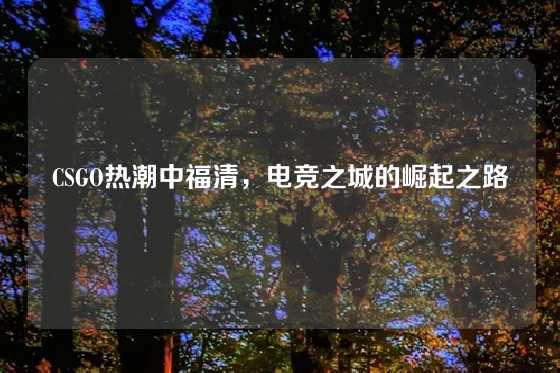 CSGO热潮中福清,电竞之城的崛起之路