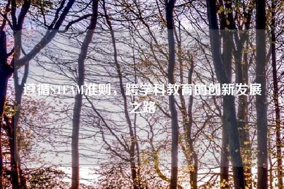 遵循STEAM准则,跨学科教育的创新发展之路