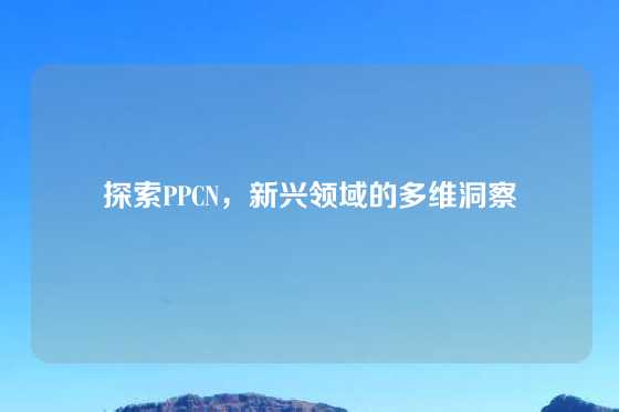 探索PPCN，新兴领域的多维洞察