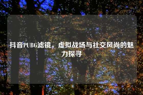 抖音PUBG滤镜,虚拟战场与社交风尚的魅力探寻