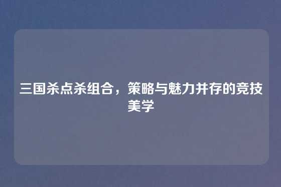 三国杀点杀组合，策略与魅力并存的竞技美学