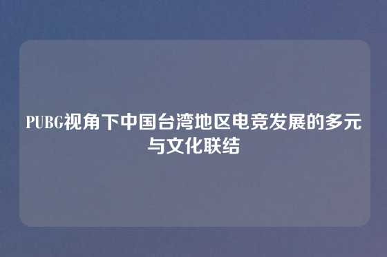 PUBG视角下中国台湾地区电竞发展的多元与文化联结