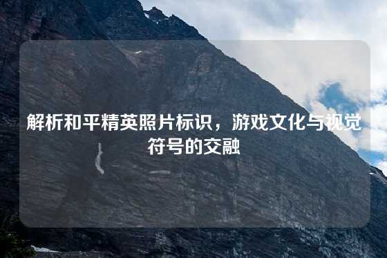 解析和平精英照片标识，游戏文化与视觉符号的交融