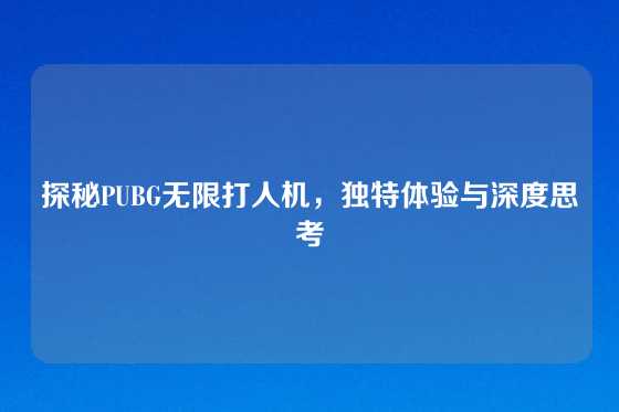 探秘PUBG无限打人机,独特体验与深度思考