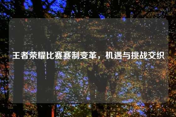 王者荣耀比赛赛制变革，机遇与挑战交织