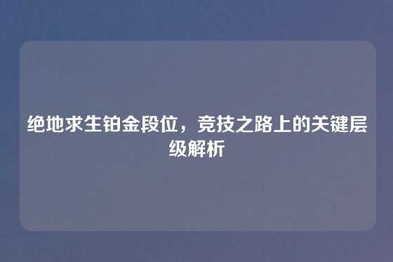 绝地求生铂金段位，竞技之路上的关键层级解析