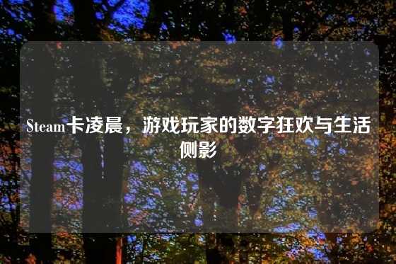 Steam卡凌晨,游戏玩家的数字狂欢与生活侧影