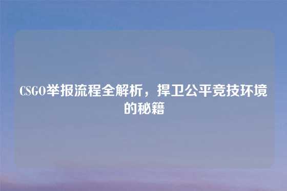 CSGO举报流程全解析,捍卫公平竞技环境的秘籍