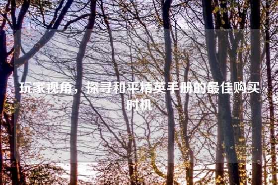 玩家视角，探寻和平精英手册的最佳购买时机