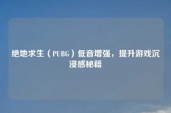 绝地求生（PUBG）低音增强，提升游戏沉浸感秘籍