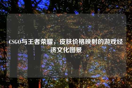 CSGO与王者荣耀,皮肤价格映射的游戏经济文化图景