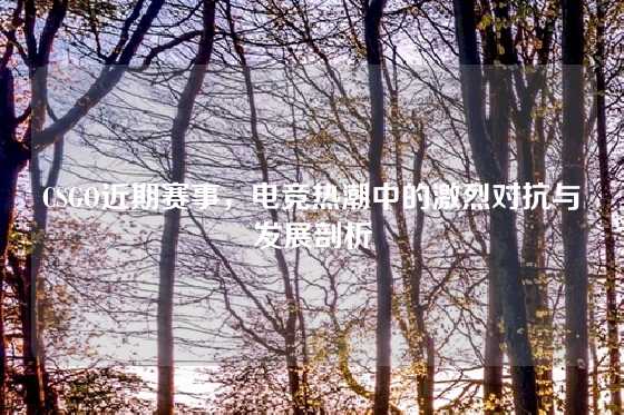CSGO近期赛事,电竞热潮中的激烈对抗与发展剖析