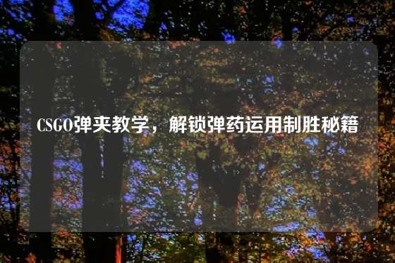 CSGO弹夹教学,解锁弹药运用制胜秘籍