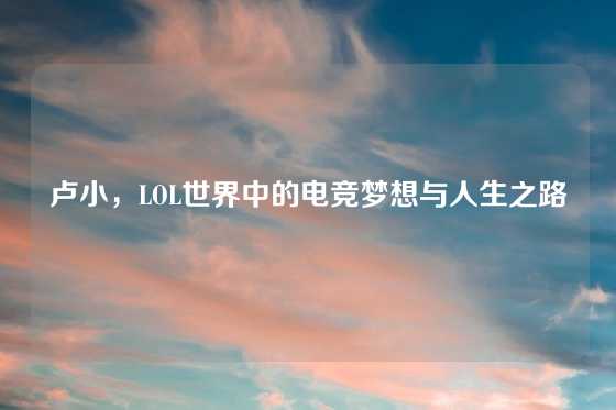 卢小,LOL世界中的电竞梦想与人生之路