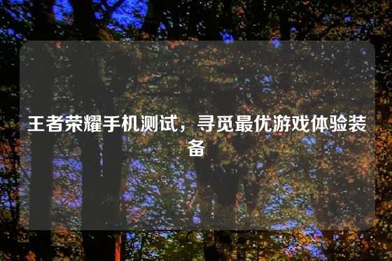 王者荣耀手机测试,寻觅最优游戏体验装备