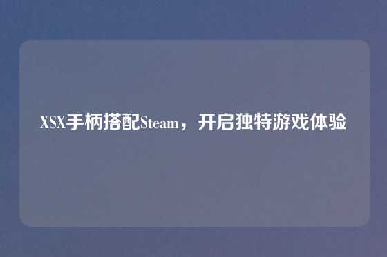 XSX手柄搭配Steam,开启独特游戏体验