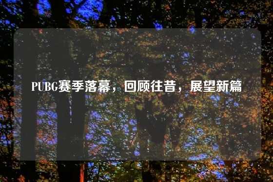PUBG赛季落幕,回顾往昔,展望新篇