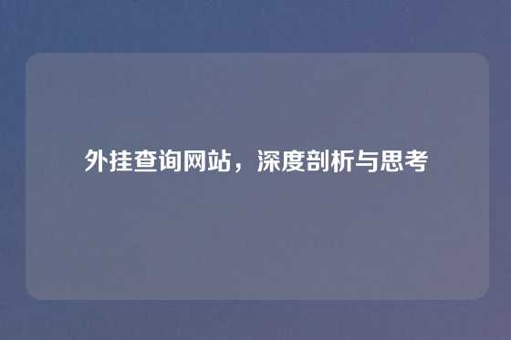 外挂查询网站,深度剖析与思考