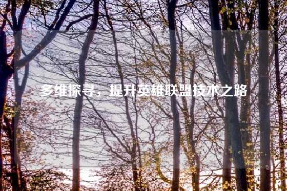 多维探寻,提升英雄联盟技术之路