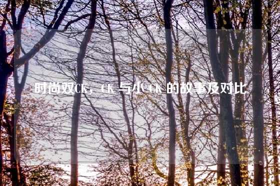 时尚双CK,CK 与小 CK 的故事及对比